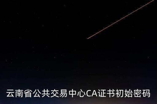 ca原始密碼登錄是什么，蘇州投標(biāo)ca初始密碼