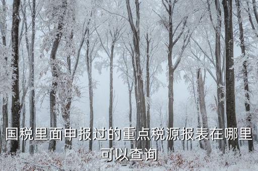 重點稅源預(yù)測網(wǎng)址是什么，國稅里面申報過的重點稅源報表在哪里可以查詢