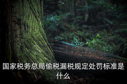 四稽國稅罰是什么意思，國稅局罰款結(jié)案是什么意思