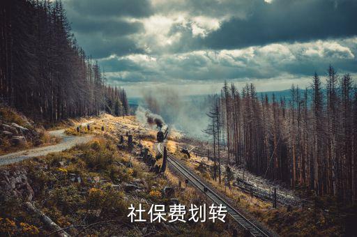 社保費(fèi)征管職責(zé)劃轉(zhuǎn)移交些什么，2020年新疆社會(huì)保險(xiǎn)費(fèi)征管職責(zé)劃轉(zhuǎn)包包括哪些內(nèi)容