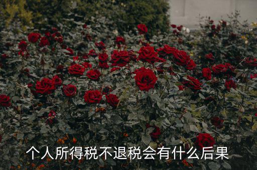 所得稅多交沒有退抵稅會(huì)有什么問題，個(gè)人所得稅不退稅會(huì)有什么后果