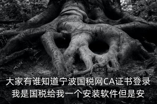 大家有誰(shuí)知道寧波國(guó)稅網(wǎng)CA證書登錄我是國(guó)稅給我一個(gè)安裝軟件但是安