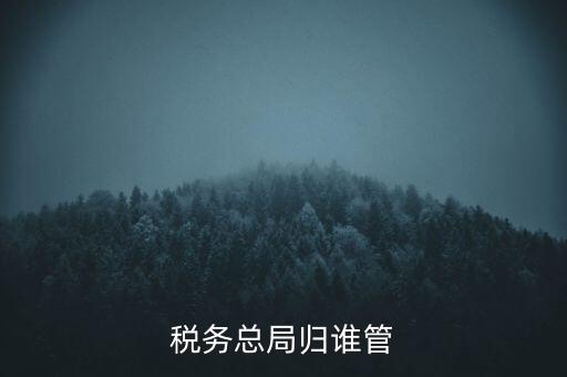 什么部門監(jiān)管國稅務局，稅務局最怕什么部門