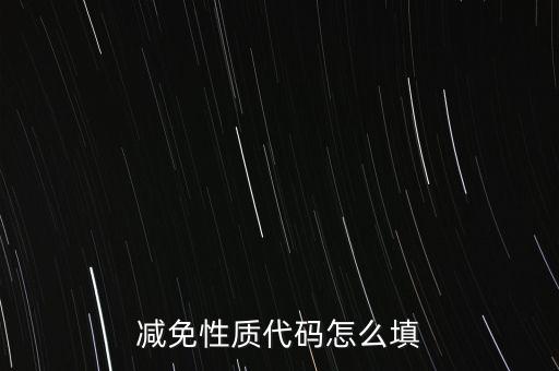 減免性質代碼怎么填
