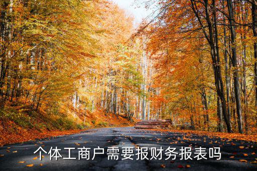 個體戶都需要申報什么表，個體工商戶需要報財務報表嗎