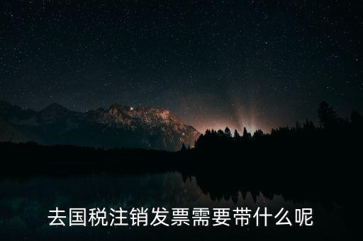 去國(guó)稅注銷(xiāo)發(fā)票需要帶什么呢