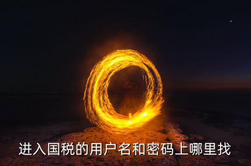 國稅的用戶名是什么，稅務(wù)用戶名是什么啊