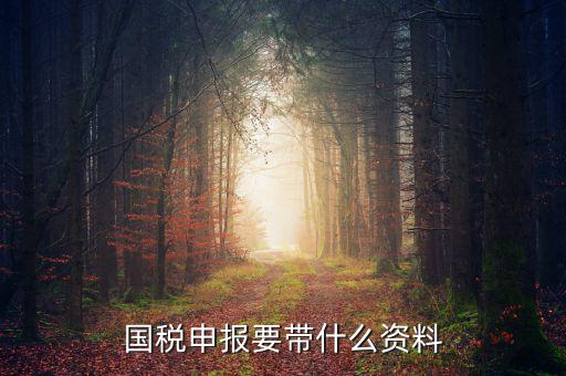 國稅注冊需要什么資料，國稅登記需要帶什么資料