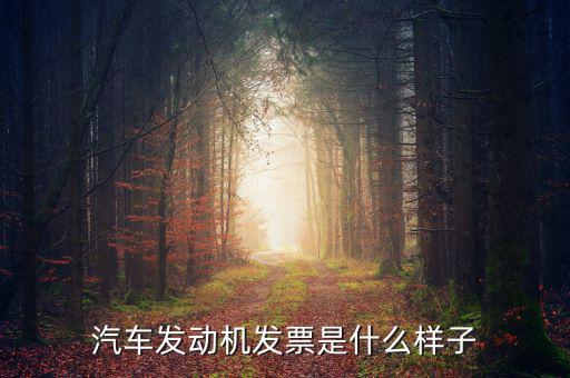 國稅出的機(jī)動車發(fā)票是什么樣的，汽車發(fā)動機(jī)發(fā)票是什么樣子