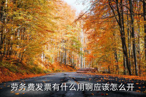 勞務費發(fā)票有什么用啊應該怎么開