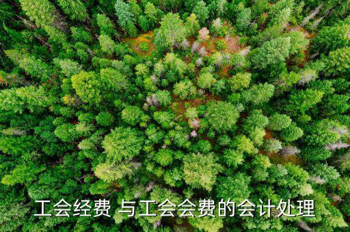 工會經(jīng)費(fèi) 與工會會費(fèi)的會計(jì)處理
