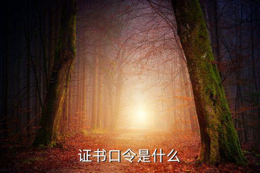 新稅盤證書口令是什么意思，金稅盤口令有什么用