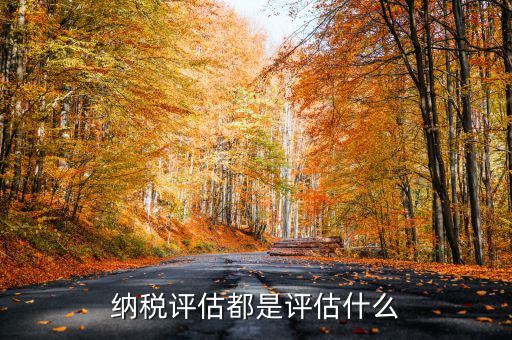 什么是稅務(wù)局企業(yè)評估，納稅評估都是評估什么