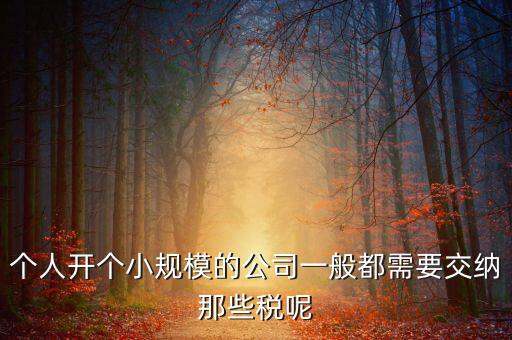 個人開辦水廠需要什么稅，自來水公司的水廠要交房產(chǎn)稅和土地使用稅嗎