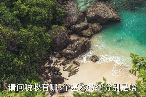 稅收具有什么特征，什么是稅收它有哪些特征