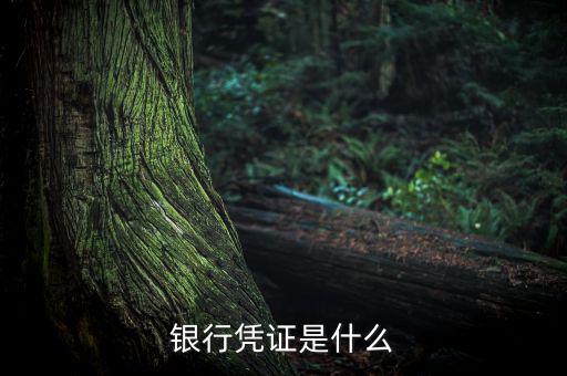 銀行劃款憑證是什么，銀行憑證是什么