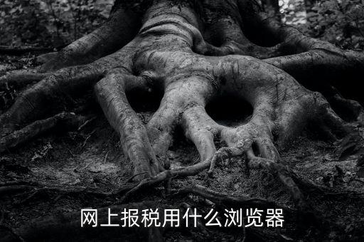 網上報稅用什么瀏覽器