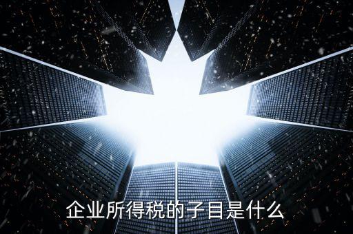 企業(yè)所得稅征收品目是什么，征收品目是什么