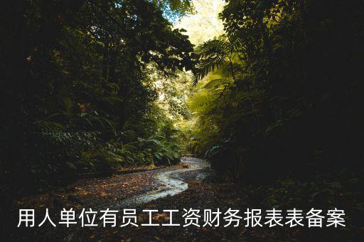 財(cái)務(wù)備案是什么意思，備案是什么意思