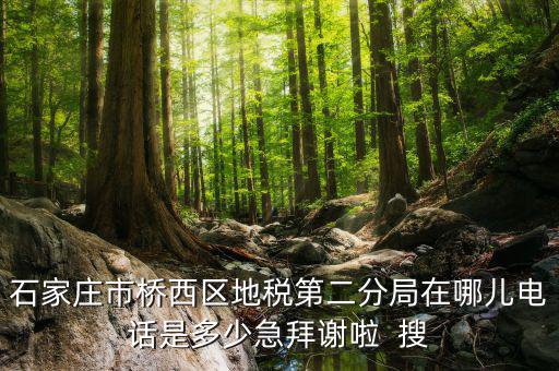 地稅二分局是做什么的，地稅科查局是做什么的