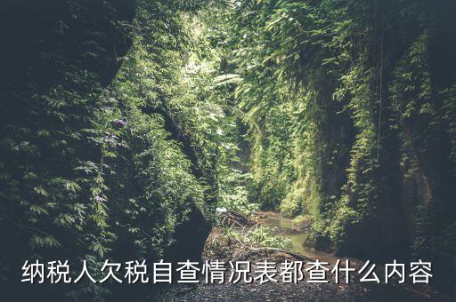 重點納稅人走訪情況表是什么，納稅人自查情況說明表里各項都填什么