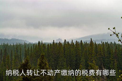 轉(zhuǎn)讓不動(dòng)產(chǎn)交什么稅，納稅人轉(zhuǎn)讓不動(dòng)產(chǎn)繳納的稅費(fèi)有哪些