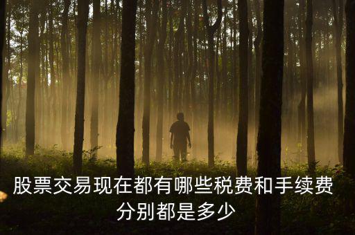 賣出股票要交什么稅，營改增后企業(yè)買賣股票應(yīng)按照什么稅目繳納增值稅