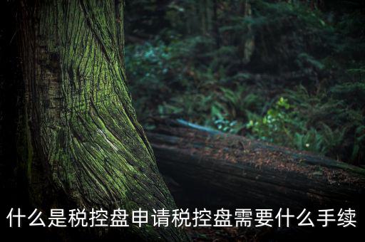 稅控盤制證是什么，去稅務(wù)局辦理稅控盤需要什么資料流程怎么走呢
