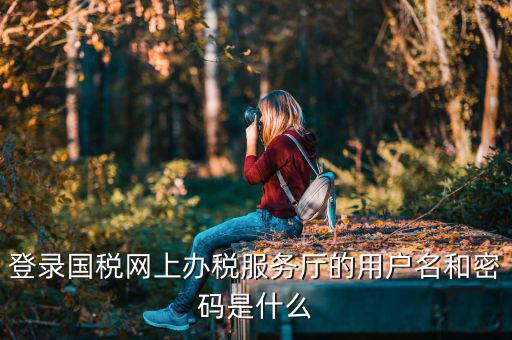 陜西電子稅務(wù)局登錄賬號(hào)是什么，登錄國稅網(wǎng)上辦稅服務(wù)廳的用戶名和密碼是什么