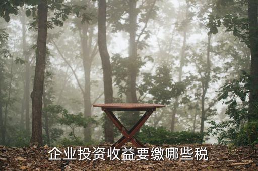 企業(yè)收到對(duì)外投資收益需交什么稅，投資收益要交些什么稅
