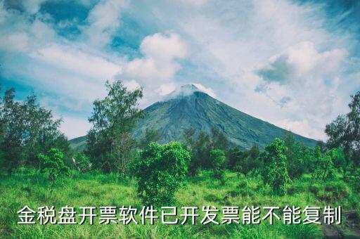 什么發(fā)票能進行復(fù)制發(fā)票操作，如何將Excel中制作的發(fā)票專業(yè)發(fā)票復(fù)制到Word文檔中并且格式