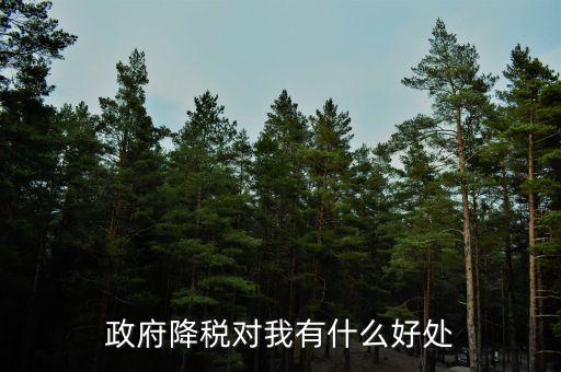 減稅有什么調(diào)節(jié)作用，政府降稅對我有什么好處