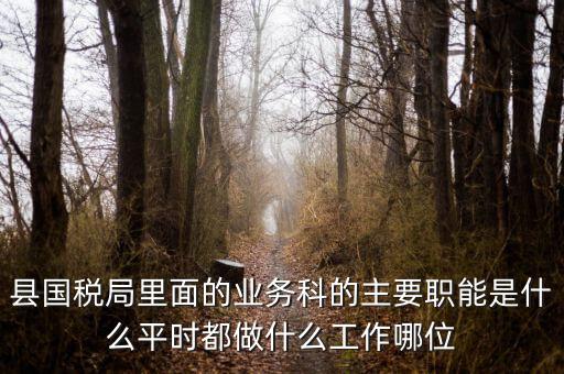 什么是稅政工作，縣國稅局里面的業(yè)務科的主要職能是什么平時都做什么工作哪位