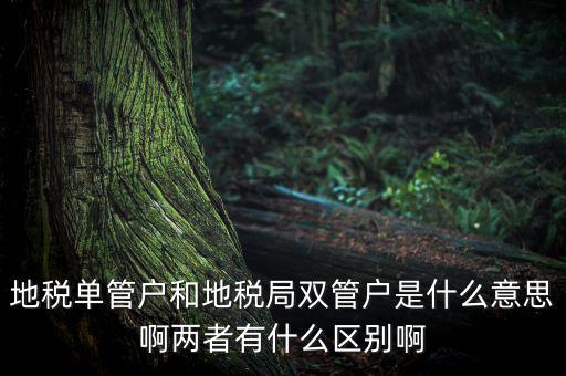 單管戶什么意思，地稅單管戶除了飲食行業(yè)外還有哪幾個(gè)行業(yè)