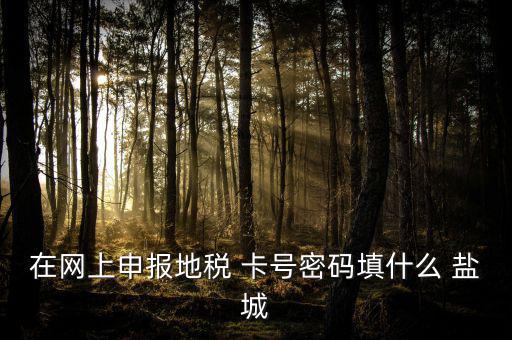 微信申報地稅的密碼是什么，地稅申報的用戶名和密碼是什么