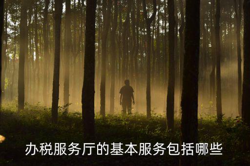 一體化辦稅服務(wù)廳是什么，辦稅服務(wù)廳的基本服務(wù)包括哪些