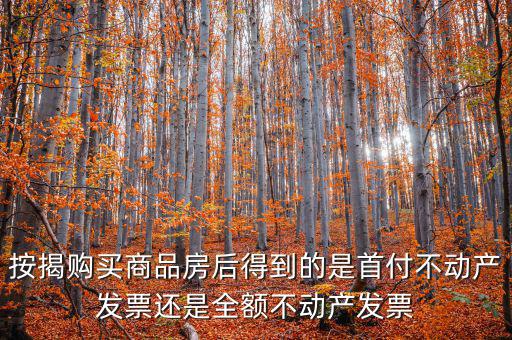 什么是全額不動產(chǎn)發(fā)票，想問一下購房全額發(fā)票到底是什么的侯才開是在交房的時侯還是辦