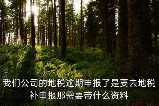 我們公司的地稅逾期申報了是要去地稅補(bǔ)申報那需要帶什么資料