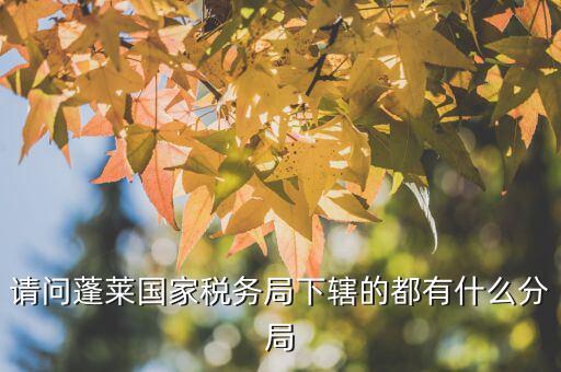 國稅局分局有什么，豐縣國稅局有幾個分局