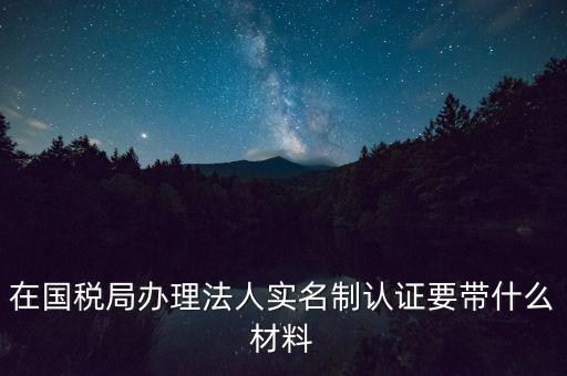 服務(wù)廳實名辦稅要帶什么，服務(wù)業(yè)辦稅務(wù)登記要些什么證件