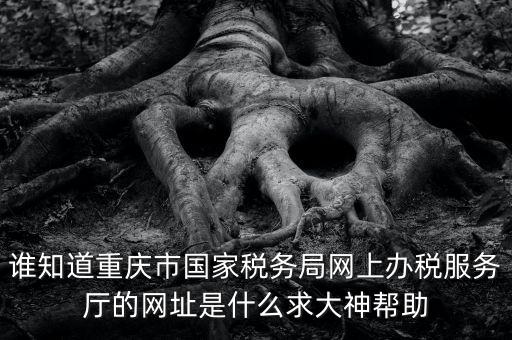 重慶稅務(wù)網(wǎng)站是什么，那個小型企業(yè)網(wǎng)上申報稅務(wù)的網(wǎng)站是多少啊發(fā)了一張流程表上