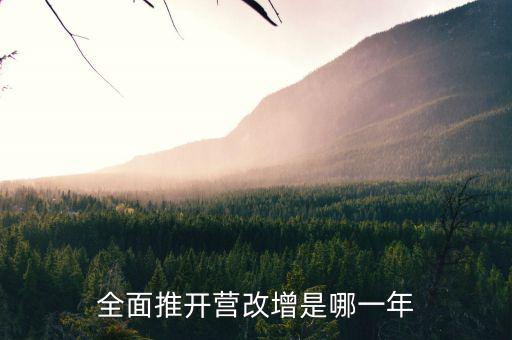 17年?duì)I改增改了什么時(shí)候，全面推開(kāi)營(yíng)改增是哪一年