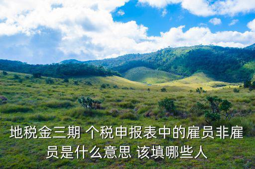 地稅金三期 個稅申報(bào)表中的雇員非雇員是什么意思 該填哪些人