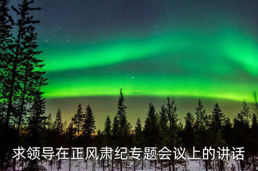 正風(fēng)肅紀(jì)講話什么意思，求領(lǐng)導(dǎo)在正風(fēng)肅紀(jì)專題會議上的講話