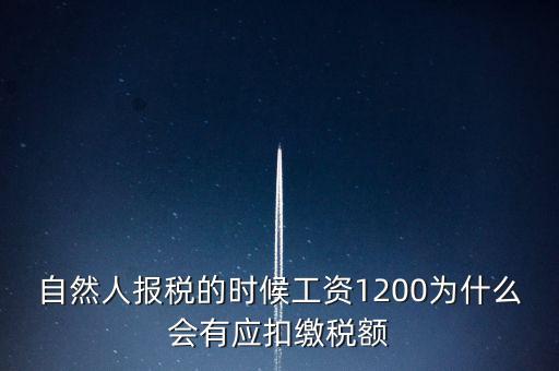 自然人報(bào)稅為什么，自然人辦稅服務(wù)平臺(tái)實(shí)名注冊(cè)的目的是什么