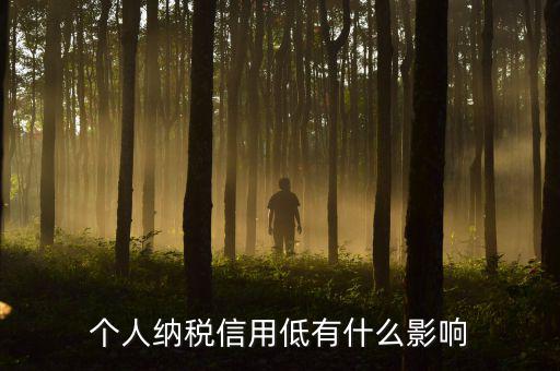 納稅信用記錄是什么，金稅三期納稅信用管理是什么意思