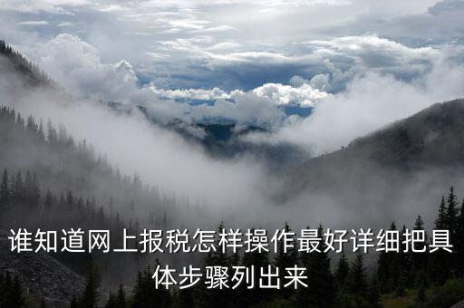 成品油消費(fèi)稅在什么系統(tǒng)申報(bào)，請教網(wǎng)上報(bào)稅步驟謝謝大家了