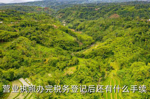 稅務(wù)登記以后需要什么，公司設(shè)立后辦理稅務(wù)登記要準(zhǔn)備哪些資料