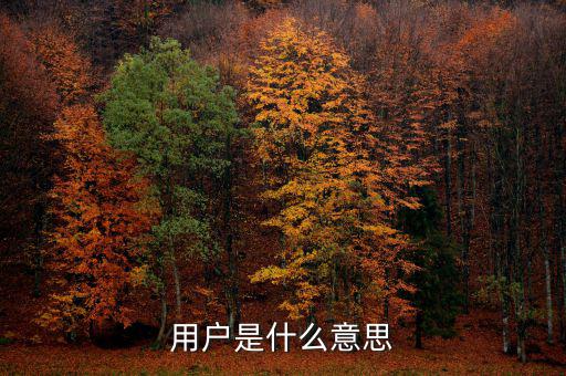 稅局用戶是什么意思，國稅局發(fā)票軟件里用戶代碼和密碼是什么