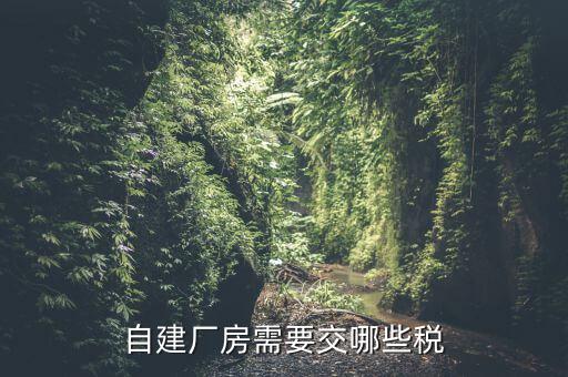 建廠房需要交什么稅，自建廠房需要交哪些稅
